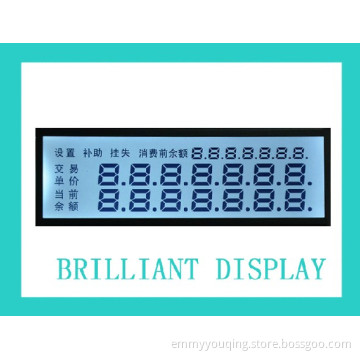 Custom Design Tn Segement LCD Module for Industrial Products with RoHS